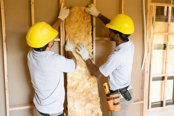 Best Basement Insulation  in Glassboro, NJ